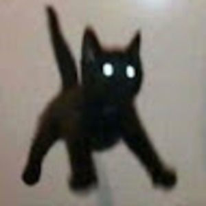 Meet your Posher, Audrey